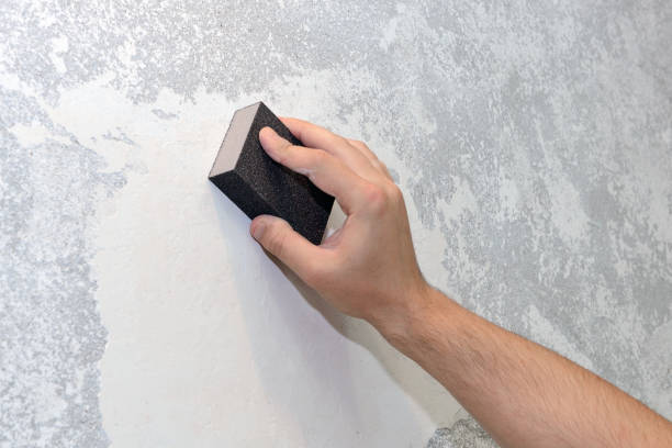 Best Mold Damage Restoration  in Atkinson, NE