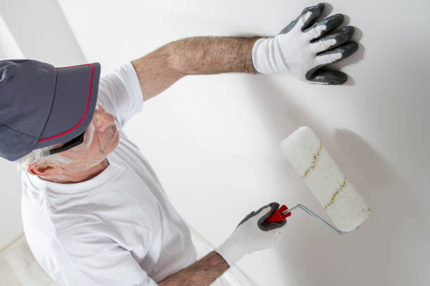 Best Mold Remediation for Rental Properties  in Atkinson, NE