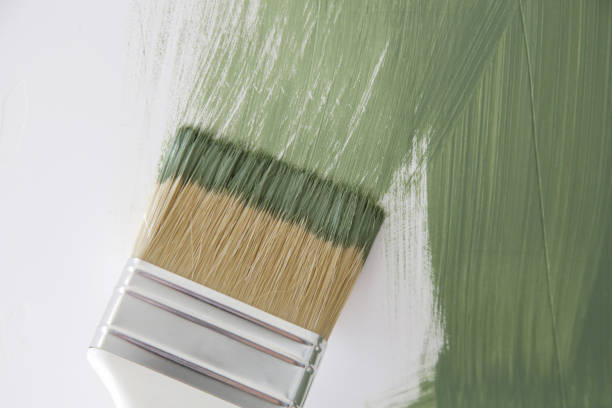 Best Emergency Mold Remediation  in Atkinson, NE