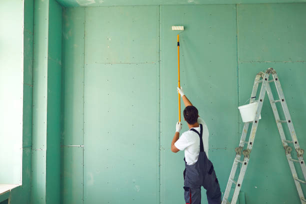 Best Mold Remediation for Healthcare Facilities  in Atkinson, NE