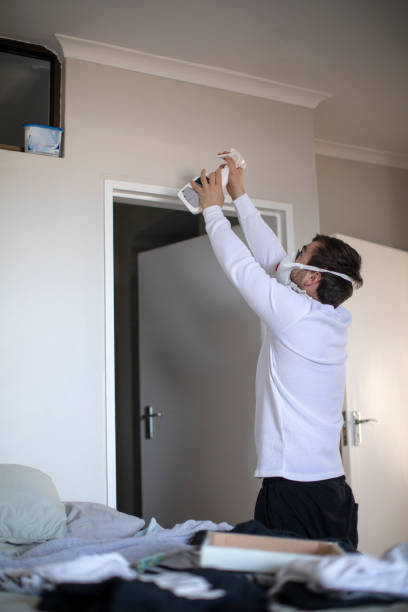 Professional Mold Removal in Atkinson, NE