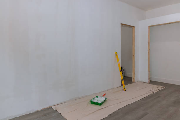 Best Mold Remediation for Vacation Homes  in Atkinson, NE