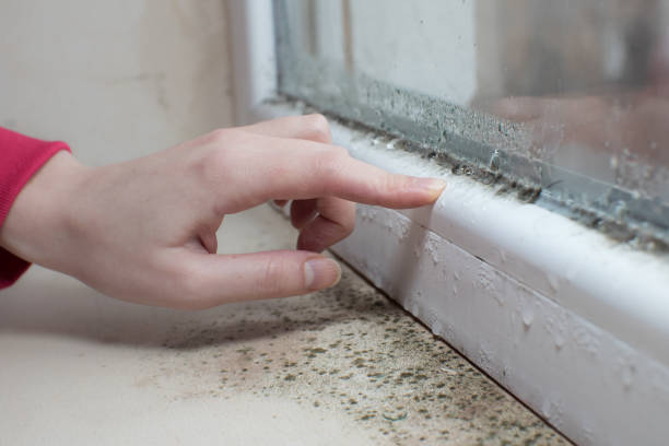Best Real Estate Mold Inspection  in Atkinson, NE