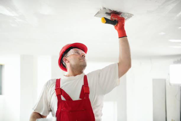 Best Emergency Mold Remediation  in Atkinson, NE