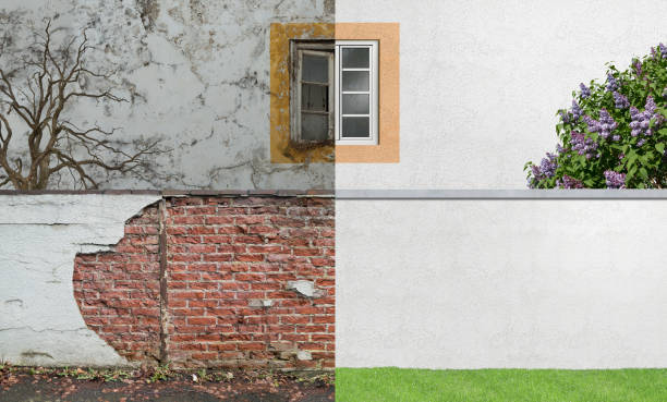 Best Environmental Consulting for Mold Prevention  in Atkinson, NE