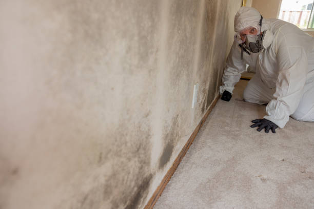 Best Residential Mold Inspection & Testing  in Atkinson, NE