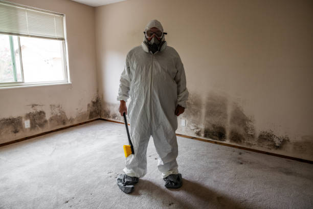 Mold Remediation for Rental Properties in Atkinson, NE