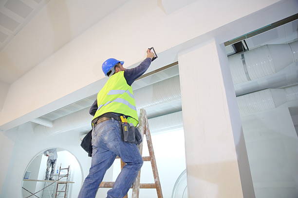 Best Black Mold Removal  in Atkinson, NE