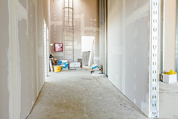 Best Mold Remediation for Rental Properties  in Atkinson, NE
