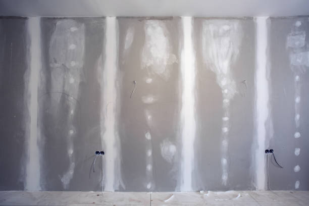 Best Post-Construction Mold Inspection  in Atkinson, NE
